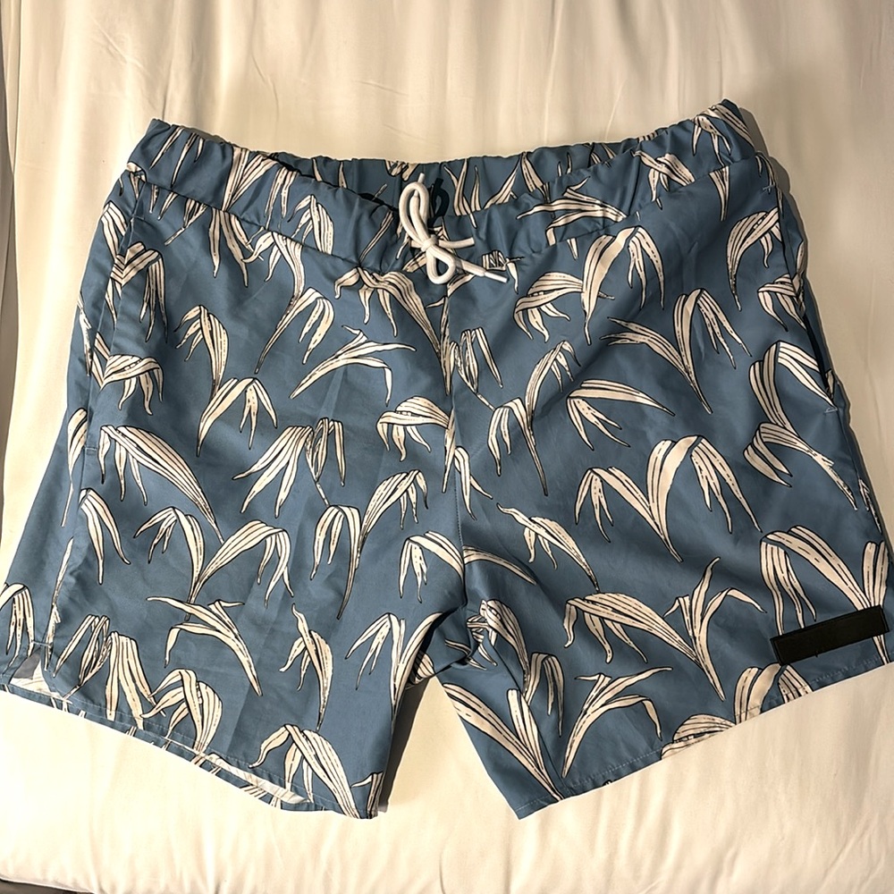 Sandro swim trunks